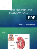 Fisiología y fisiopatología del sistema renal.pdf