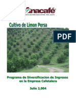 Cultivo de Limón Persa.pdf