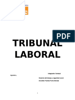 Tribunal Laboral