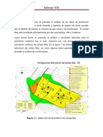 Informe Campo May