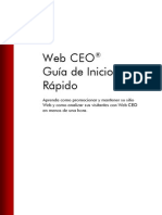 Web CEO