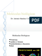 Tema 2.proteinas y Lipidos
