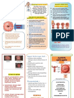 Ca Cervix.pdf