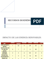 Recursos Bioenérgeticos