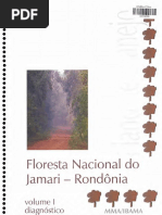 Flona Jamari Pm Diagnostico