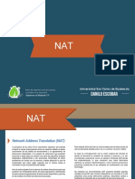 NAT (C17).pdf