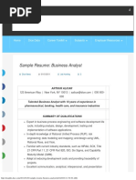 Sample Resume Business Analyst - Dice Insights