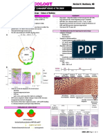 Premalignant & Malignant Diseases of The Cervix