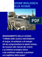 Depurazione Biologica Delle Acque 1 PDF