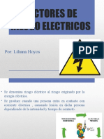 Factores de Riesgo Electricos Liliana