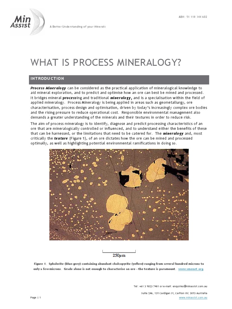 Process Mineralogy PDF | PDF | Mining | Mineralogy