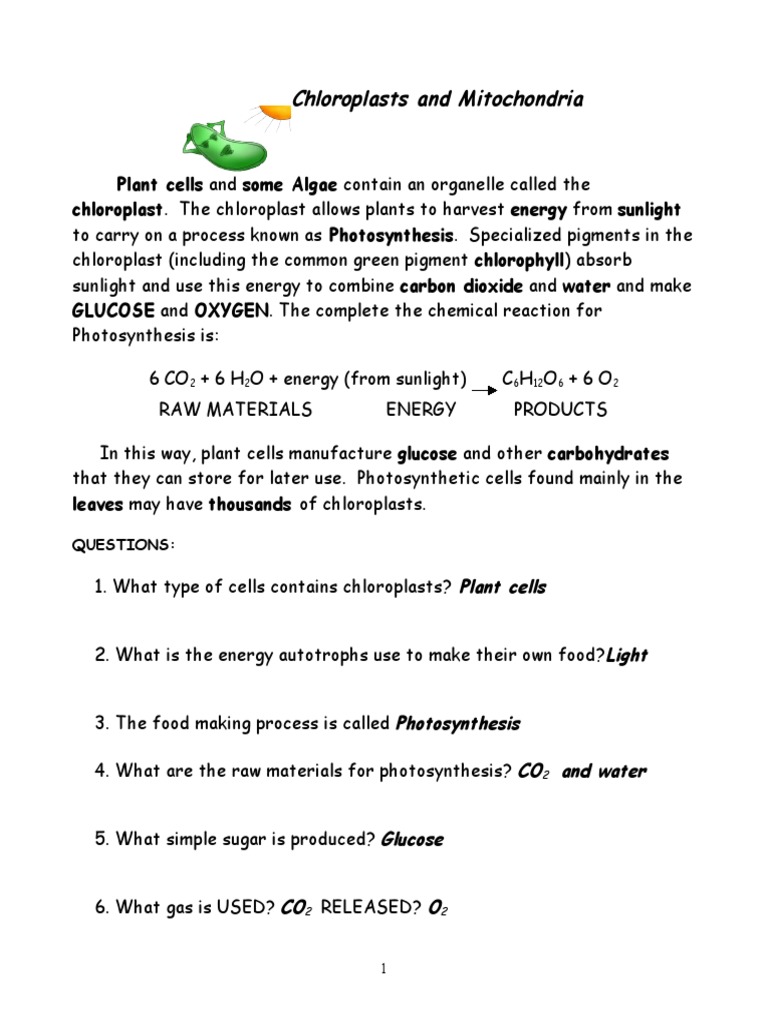 chloroplasts-and-mitochondria-answers-pdf-chloroplast-photosynthesis