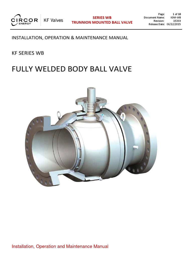 Kf Ball Iom Series Wb Leak Valve