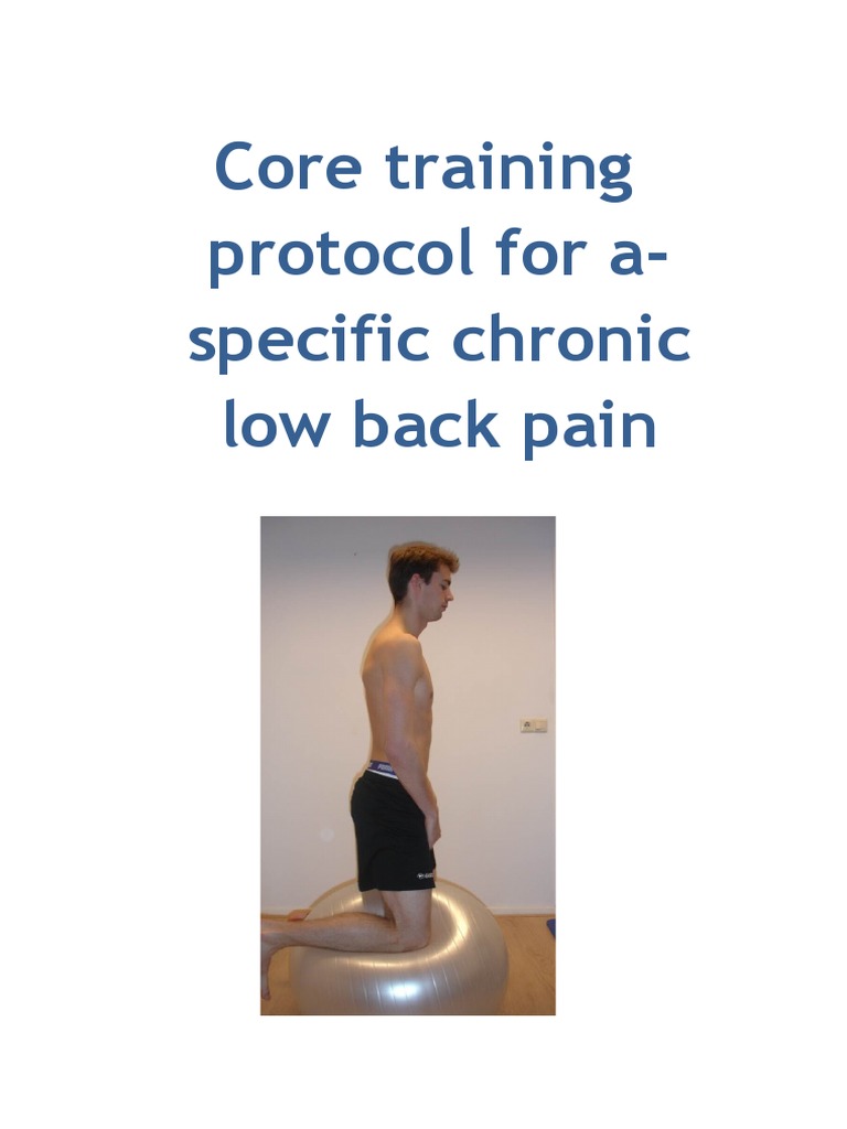 Core Training Protocol for Low Back Pain | PDF | Anatomical Terms Of ...
