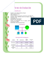 Informe de Evaluacion