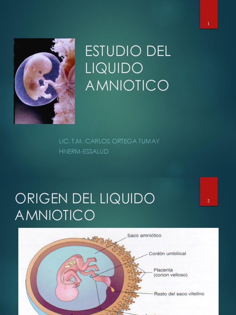 Liquido Amniotic | Orina | Feto