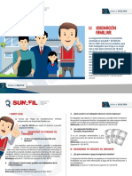 1.1 PF DS asignacion laboral.pdf