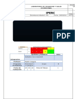 Informe Iperc