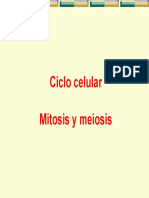 Ciclo Celular