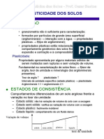 05.4 - PLASTICIDADE.pdf