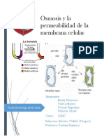 Osmosis y Pearmibilidad de La Membrana Celular PDF