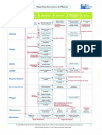 Carta de procesos PMI