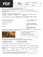 Prova de Ciencias 7ºano c