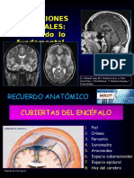 174369524 Poster Hernias Cerebrales Seram 2010