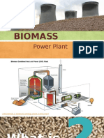 Biomass: Power Plant