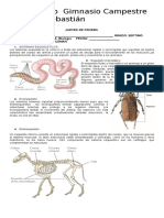 Jueves de Prueba Biologia Septimo