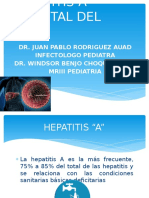 Hepatitis A en niños: factores de riesgo y mortalidad en el Hospital del Niño de La Paz, Bolivia