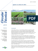 Irrigação na cultura do alho.pdf