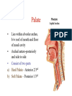 H&N - Soft Palate &tonsils