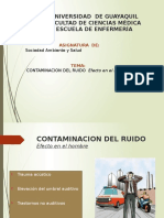 Contaminacion Del Ruido[1]