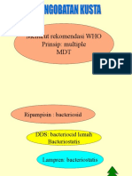 Pengobatan Kusta