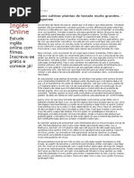 Como Cultivar Plantas de Tomate Muito Grandes