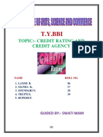 Credit Rating PDF