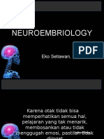 Neuro EmBriOlogy