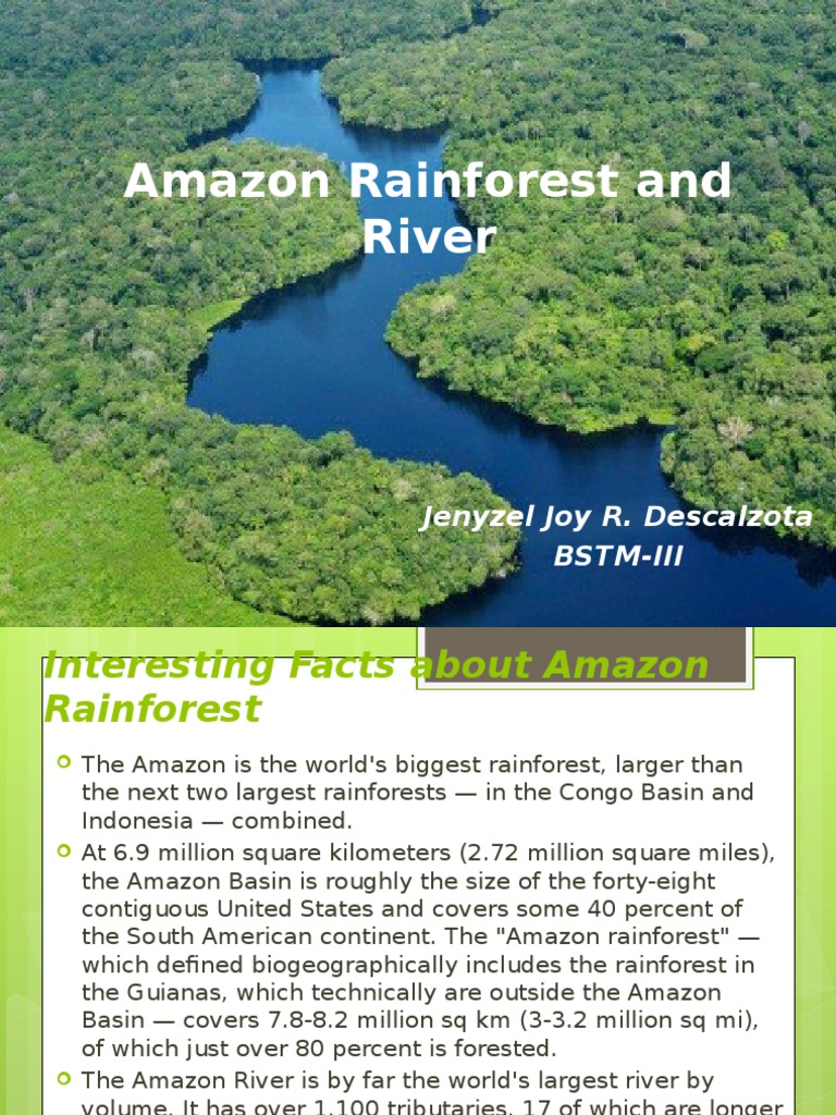 1 Amazon Rainforest and River | PDF | Science & Mathematics