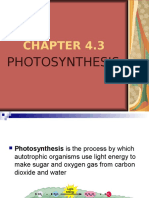 AGR122 CHAPTER 4.3-PHOTOSYNTHESIS Baru