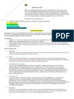 Medios de transporte aéreo y fluvial