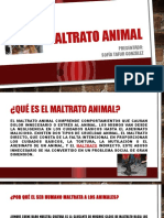 Maltrato Animal