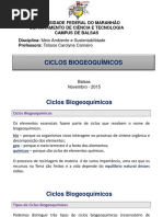 Aula 1.1 - Ciclos Biogeoquímicos (Completa)