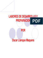 Labores de Desarrollo PDF