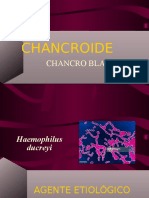 Chancroid e