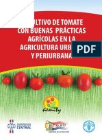 Cultivo de Tomate