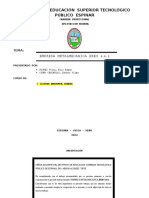 Sistema Ambiental Minero 