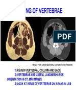 Imagingvertebrae PDF