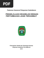 Download PNPK-PJT 2016 by Uswatun Hasanah RI SN322360511 doc pdf