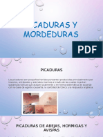 Mordeduras y Picaduras